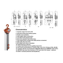 High Quality Cheap Manual Hoist Price (CH-WB)